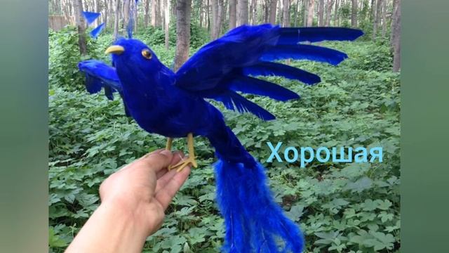 Обзор на синих попугаях и птиц игрушки и музыка смотреть онлайн