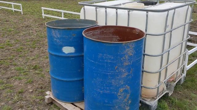 # 175. Грядки своими руками. Тестируем ножницы для газона. Подкормка деревьев. Шашлыки обязательно