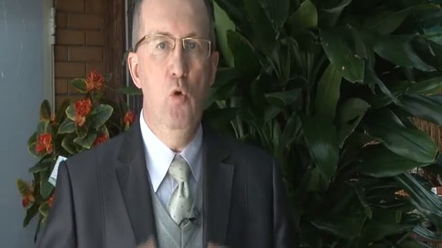 Садовые истории № 9 смотреть онлайн