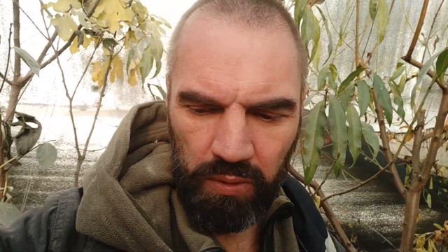 Подземная теплица на начало зимы смотреть онлайн