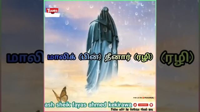 tamil bayan malik (bin)dheena(rali) смотреть онлайн