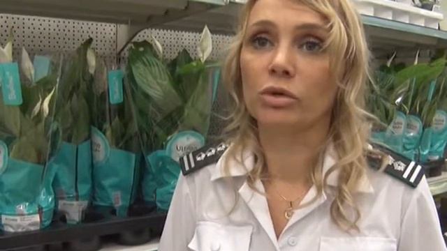 О фитосанитарной проверке гипермаркета в Ростове-на-Дону смотреть онлайн