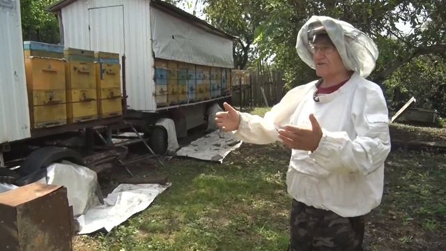 Массовая гибель пчёл смотреть онлайн