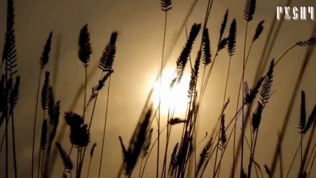 Дух степи... смотреть онлайн