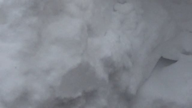 посадка семечек груши 10 января смотреть онлайн