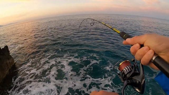 Barracuda live strike (Skaram) on Duo Tide Minnow Slim 175 Flyer смотреть онлайн