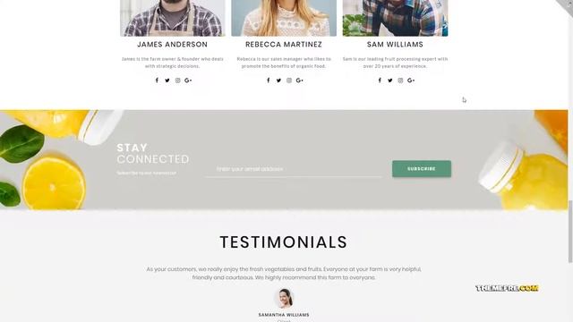 Mariko Organic Food Multipurpose Classic Elementor WordPress Theme TMT смотреть онлайн
