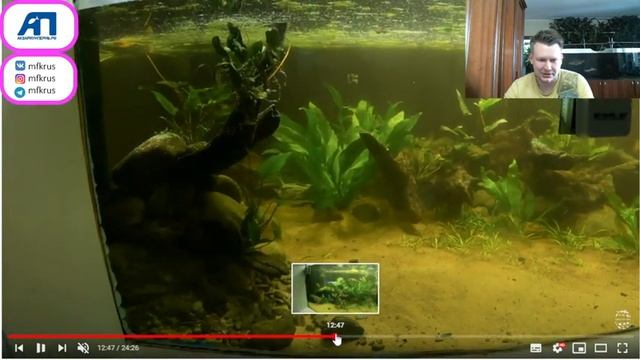 Аквариумы которые произвели на меня впечатление 18(Много геофагусов ,растений,скейпов и хардскейпов смотреть онлайн