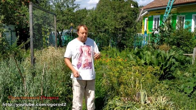 Потерял урожай из-за мульчи! Не повторяйте моих ошибок смотреть онлайн