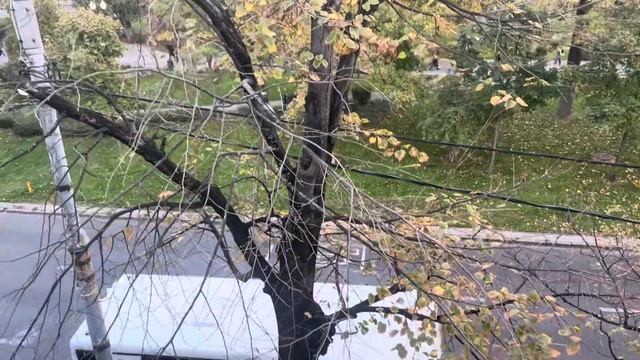 Как, красиво вид с окна осень ?всем желаю приятных выходных завтра всем работать. смотреть онлайн