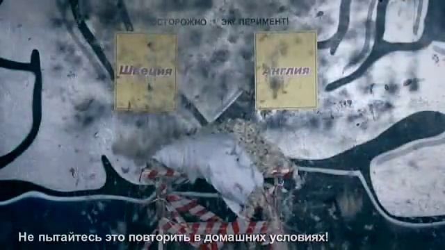 Подушка предсказала результат матча Швеция-Англия смотреть онлайн