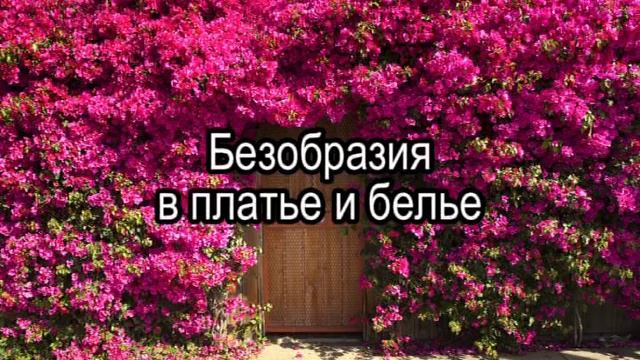 К. Антарова. Ошибки такта.avi смотреть онлайн
