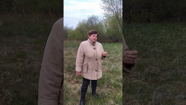 Какую корову лучше выбрать себе для жизни и как? смотреть онлайн