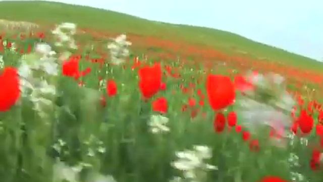 янгиабад 2.mp4 смотреть онлайн