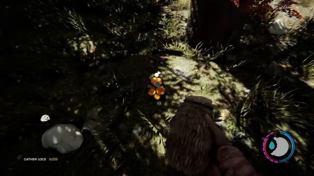 The Forest | Medic and You A Fun Guy Trophy Guides [PS4 Patch 1.08] смотреть онлайн