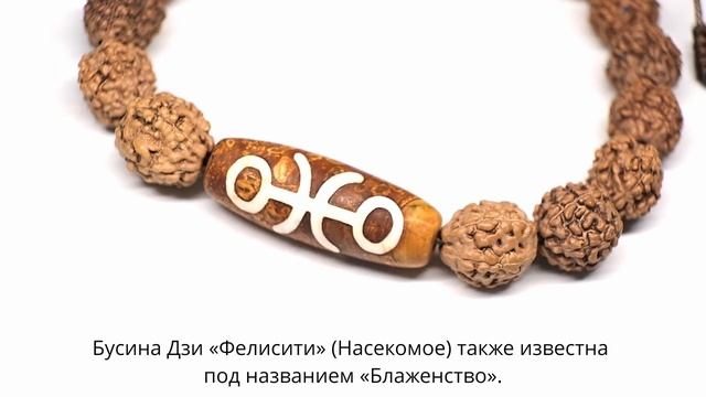 Бусина Дзи «Фелисити» (Насекомое) в браслете из рудракши смотреть онлайн