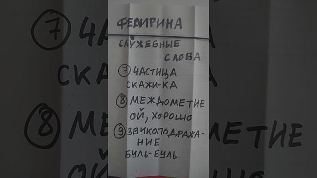 13 Русский язык