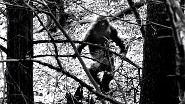 Беспилотник запечатлел то, чего никто не должен был видеть. Это надо видеть! смотреть онлайн