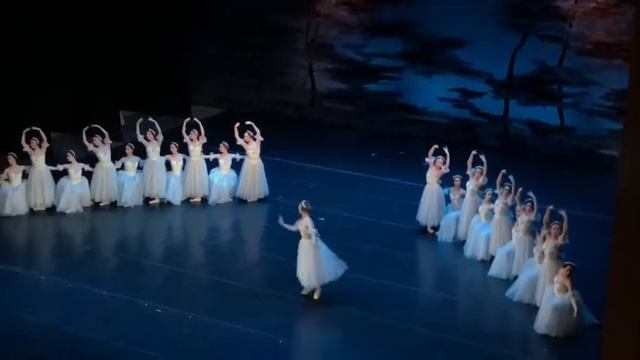 Chopiniana смотреть онлайн