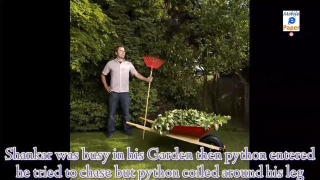 9 feet long Python смотреть онлайн