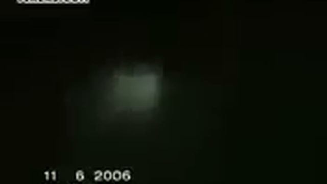 Неизвестная тварь в лесу.mp4 смотреть онлайн