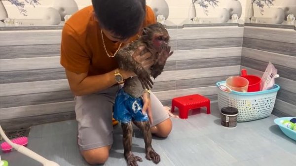 YoYo Jr helps dad takes care of monkey YiYi