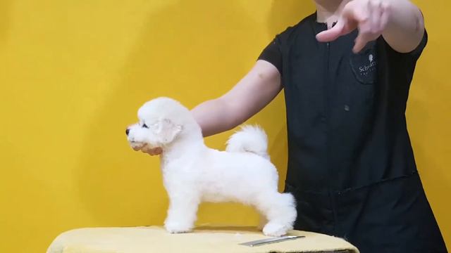 Джэйнен (DaVita's Heart Improbable), 2 мес. Часть 1. смотреть онлайн