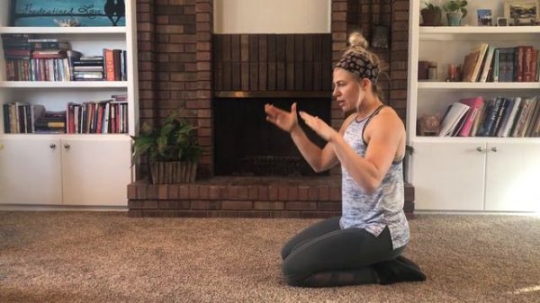 Scapula Push Up Progressions