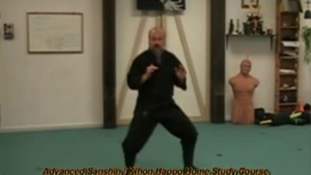 Introduction to the Ninja's Sanshin no Kata - Shoshin Level - Part 2 смотреть онлайн