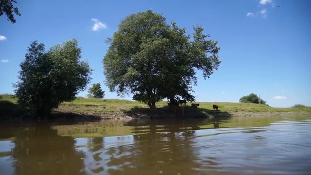 SONY SLT a77 Mark 2 Video/Foto Test смотреть онлайн