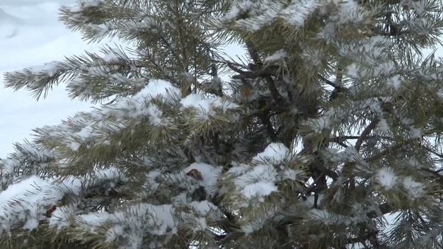 баллада о прокуренном вагоне смотреть онлайн