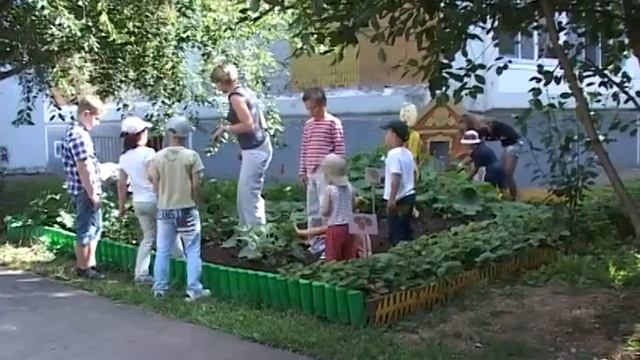 20120808 DS 2290+ смотреть онлайн