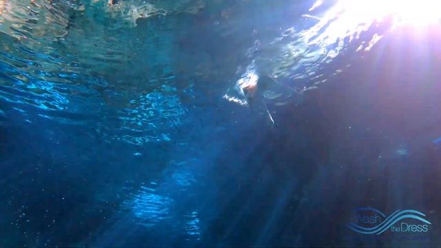 Underwater Dance in Cenote light смотреть онлайн