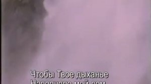 Покажи мне мое сердце