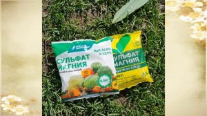 Солю розы Английской солью, базальные побеги просыпаются и начинают расти. Хитрость от Британск
