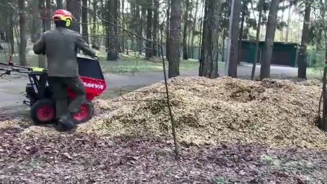 Шашлыки в безопасности смотреть онлайн