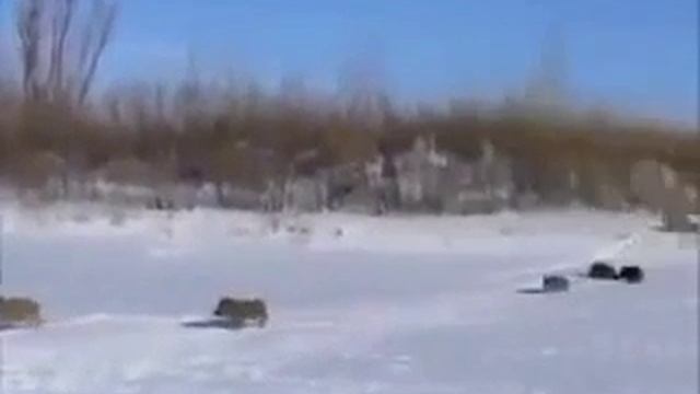 рыбаки и кабаны смотреть онлайн