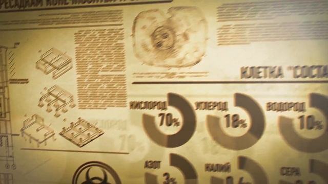 Во что инвестируют расчетливые люди. Чистая Раса. смотреть онлайн