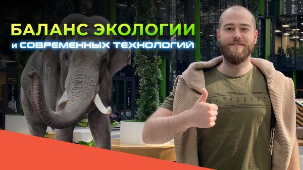 Угловой 3D-экран в Московском зоопарке|HD LED TECH