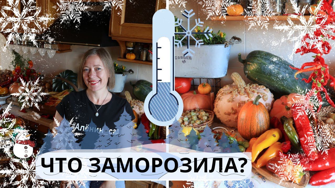 Что заморозить? / Готовимся зимовать смотреть онлайн