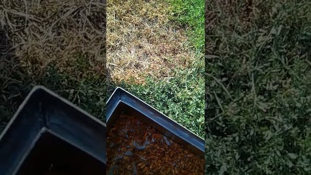 Секреты Творческого Вдохновения