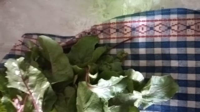 Руководство К Мастерству