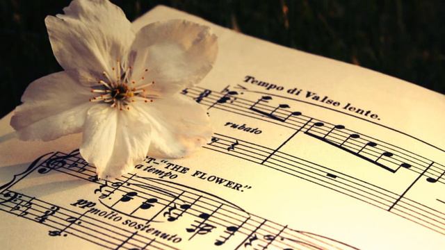 Bela Banfalvi, Budapest Strings Humoresque No 7 in G Fl смотреть онлайн