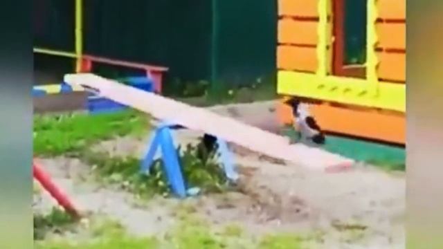 Мем My name is Giovanni Giorgio but. Alone on the playground (Джованни Джорджио) смотреть онлайн