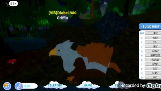 ОБЗОР НА ПТИЦУ ГРИФОН Roblox симулятор птицы смотреть онлайн