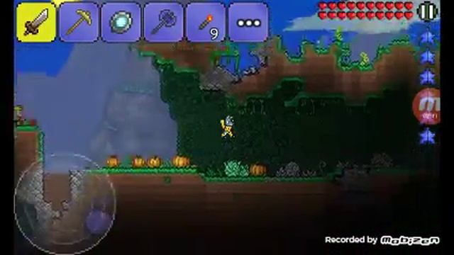 TerrariaPlay! #1 МИНИ-АКУЛА смотреть онлайн