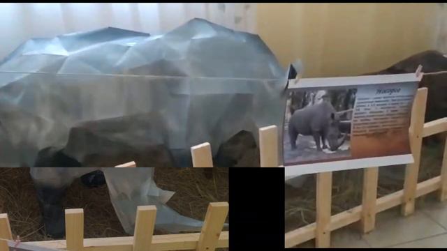 Наш чудесный зоопарк смотреть онлайн