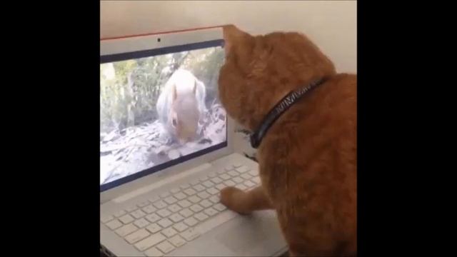 Прикольные анимашки ещё смотреть онлайн