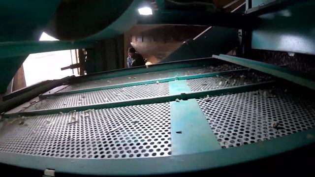 ОВС 25. триммер больше не розсыпает зерно?Как из кучи мусора выбрать семечку? ОВС в работе. смотреть онлайн