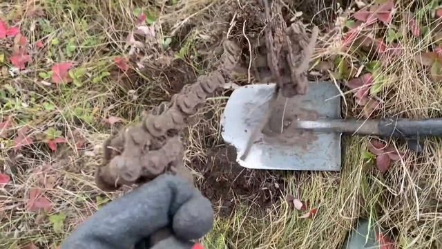Занятие Которое Приносит Удовольствие! Попробовал раз, и не получилось соскочить ? смотреть онлайн
